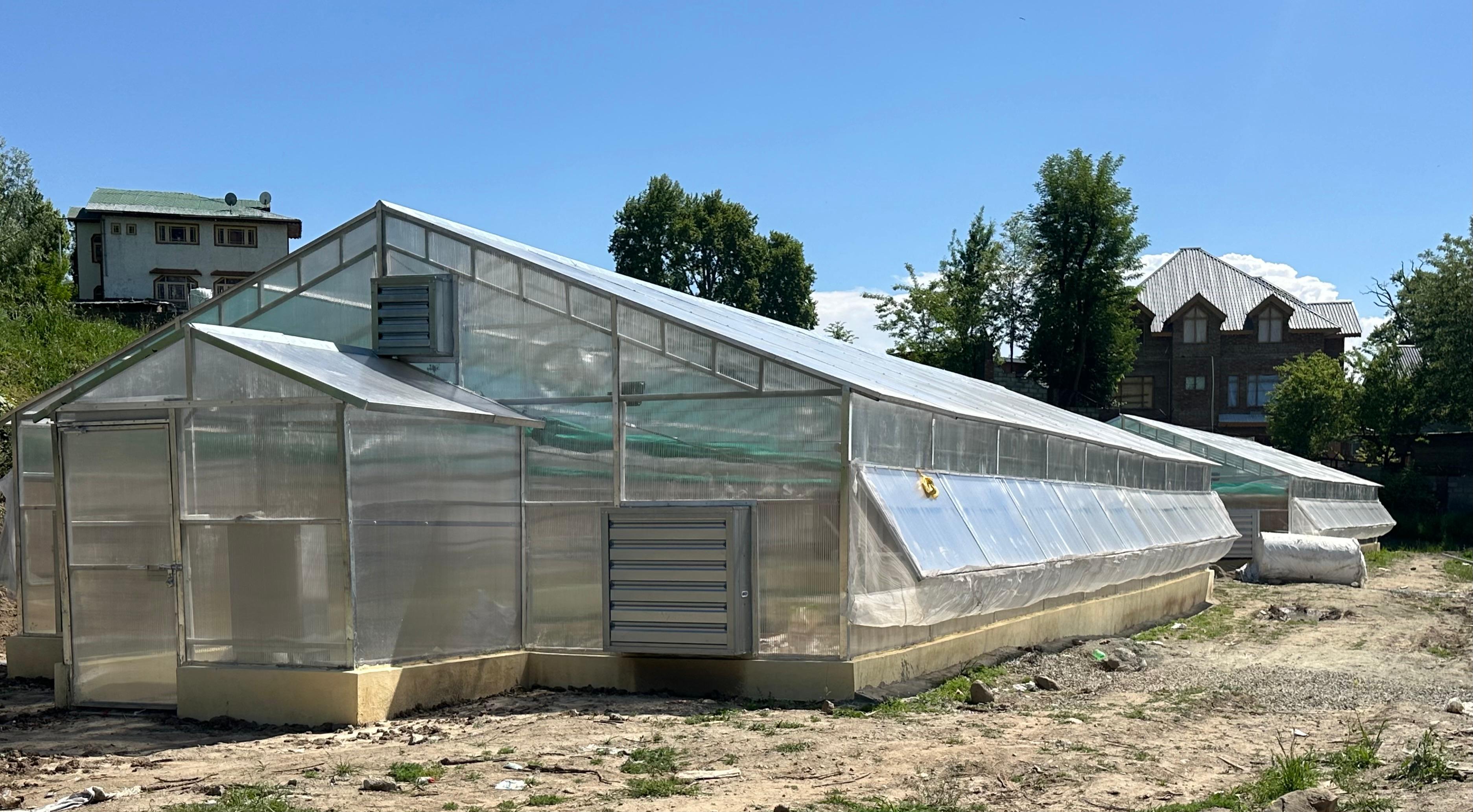 Establishment of Hi-Tech Green Houses (Protected cultivation)